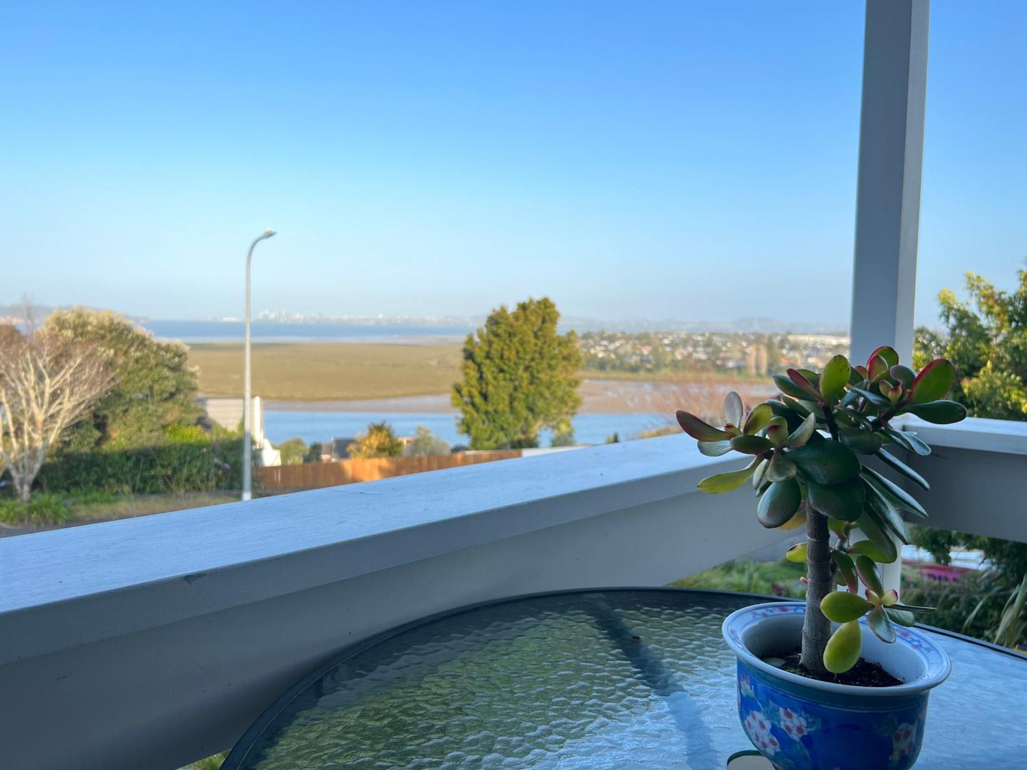 Auckland Sea&Skytower View Homestay With Free Netflix, Parking Zewnętrze zdjęcie